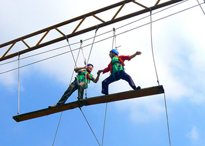 开云首页入口拓展课程一